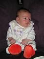 Imme 5 september 2006 (1)